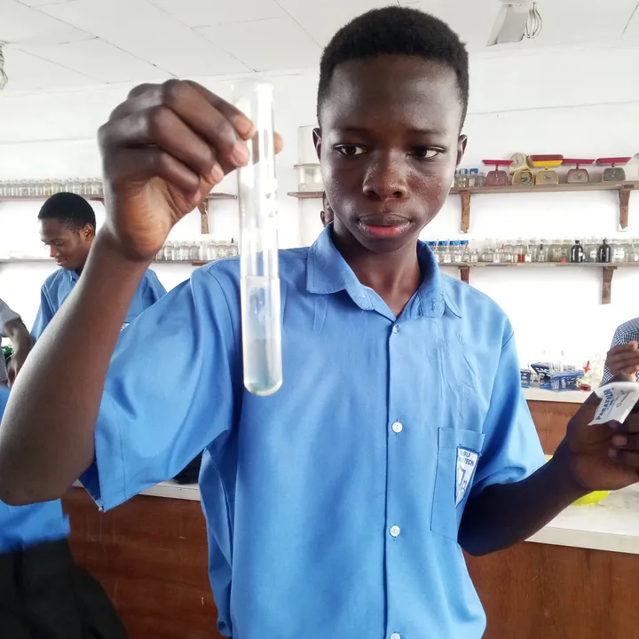 A Sankofa STEM fellow closely examining the contents of a test tube